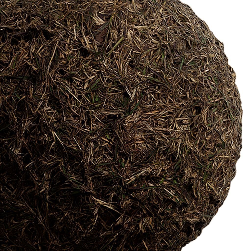 Grass Seamless Texture 2K - EXR 5 - JPG 5 Texture Texture_4