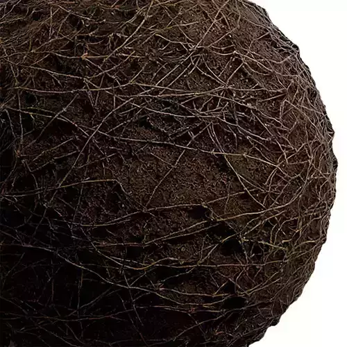 Grass Seamless Texture 2K - EXR 5 - JPG 5 Texture