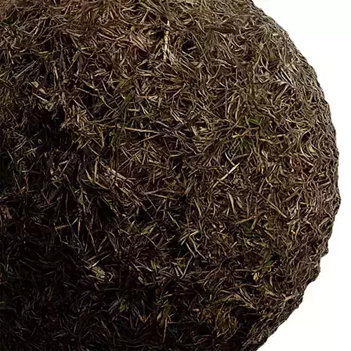 Grass Seamless Texture 2K - EXR 5 - JPG 5 Texture