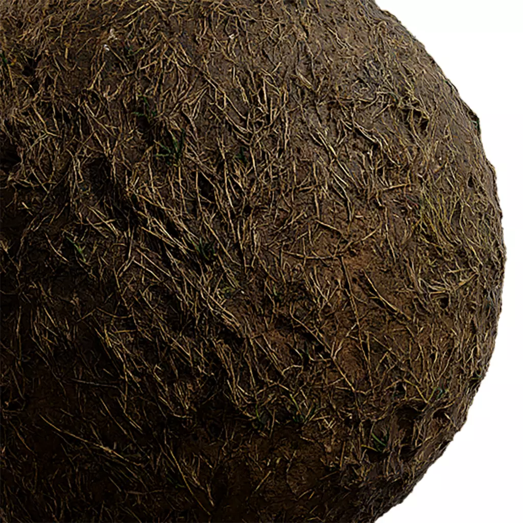 Grass Seamless Texture 2K - EXR 5 - JPG 5 Texture Texture_0