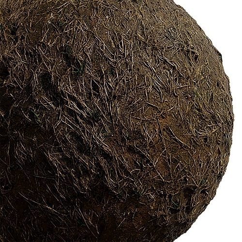 Grass Seamless Texture 2K - EXR 5 - JPG 5 Texture Texture