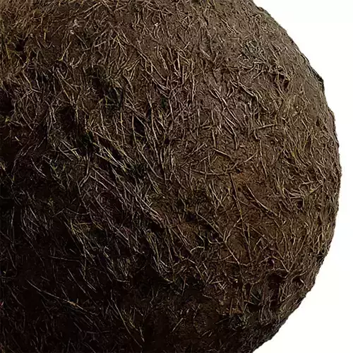 Grass Seamless Texture 2K - EXR 5 - JPG 5 Texture