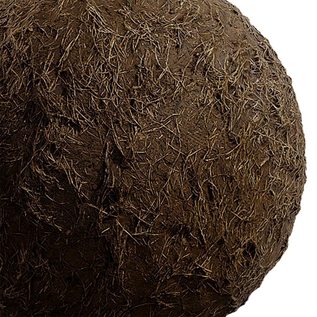 Grass Seamless Texture 2K - EXR 5 - JPG 5 Texture Texture_2