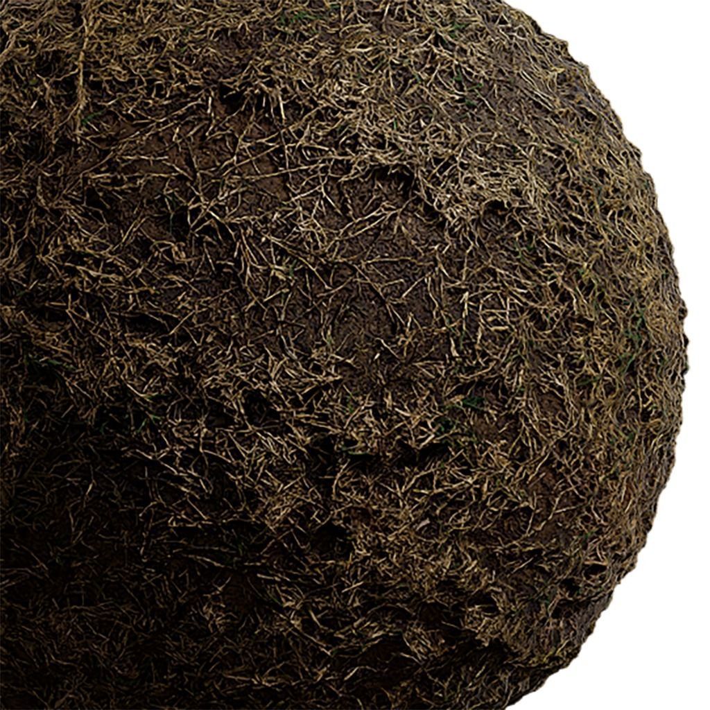 Grass Seamless Texture 2K - EXR 5 - JPG 5 Texture Texture_4