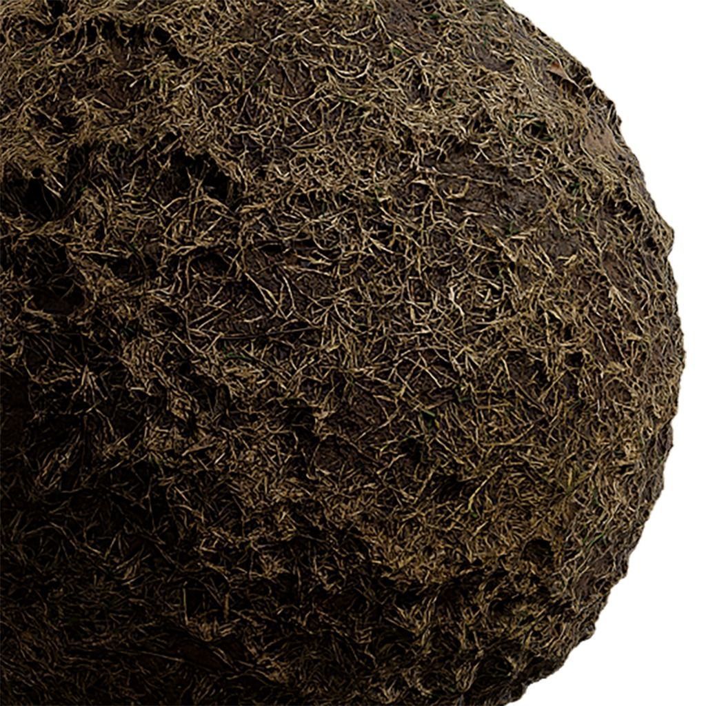 Grass Seamless Texture 2K - EXR 5 - JPG 5 Texture Texture_3