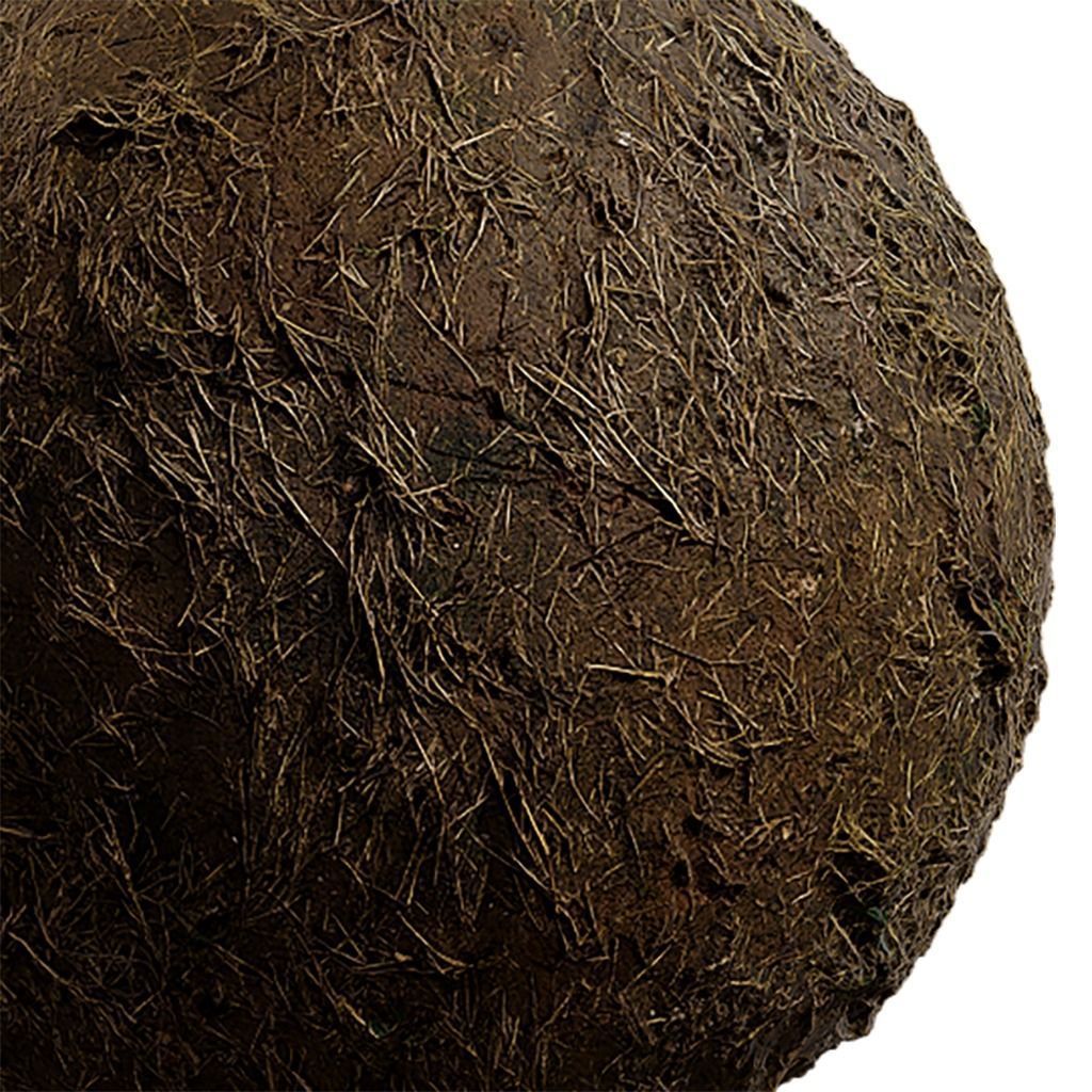 Grass Seamless Texture 2K - EXR 5 - JPG 5 Texture Texture_1