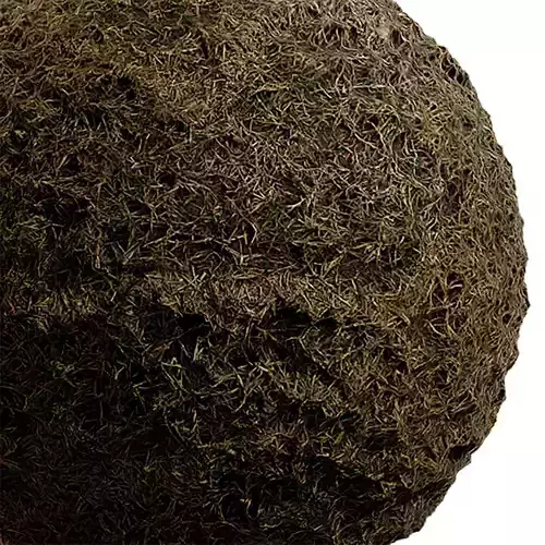 Grass Seamless Texture 2K - EXR 5 - JPG 5 Texture