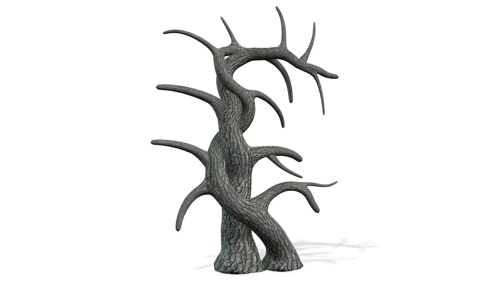 ENROLADA - The strange plant with animation 3D model_0