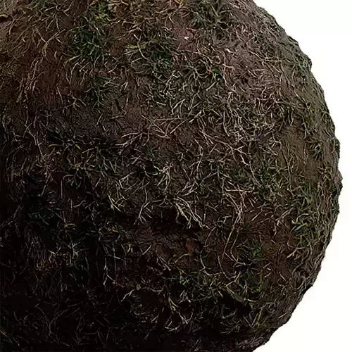 Grass Seamless Texture 2K - EXR 5 - JPG 5 Texture