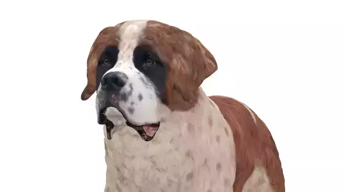 Saint Bernard low poly 3d print 3D print model