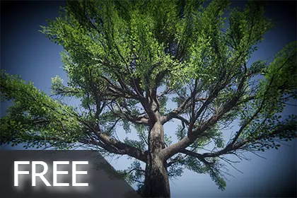 Big Oak Tree Free low-poly 3D model_0