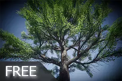 Big Oak Tree Free low-poly 3D model