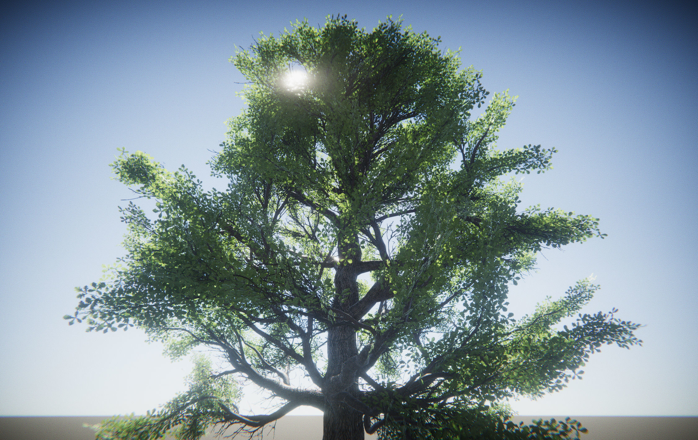 Big Oak Tree Free low-poly 3D model_2