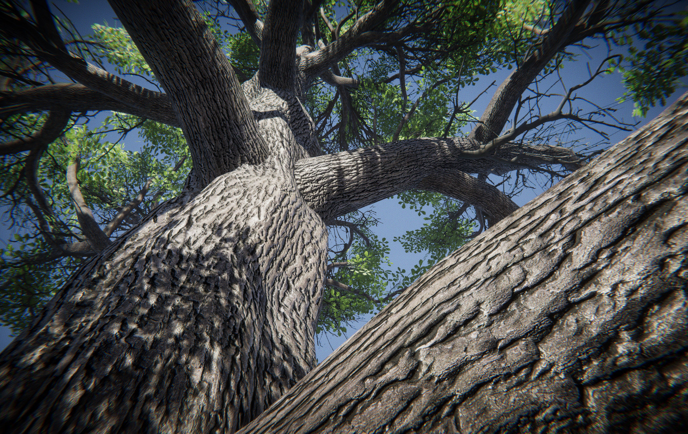 Big Oak Tree Free low-poly 3D model_3