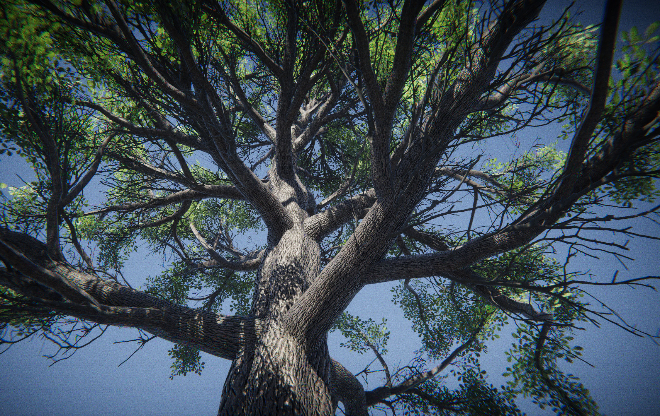 Big Oak Tree Free low-poly 3D model_6