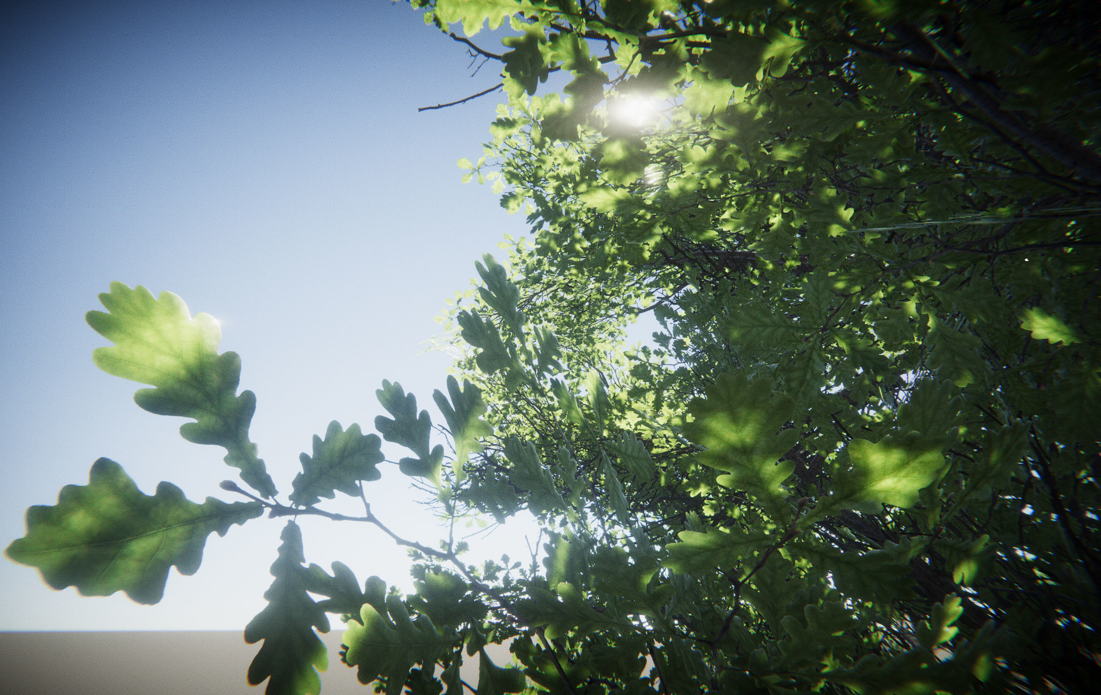 Big Oak Tree Free low-poly 3D model_4