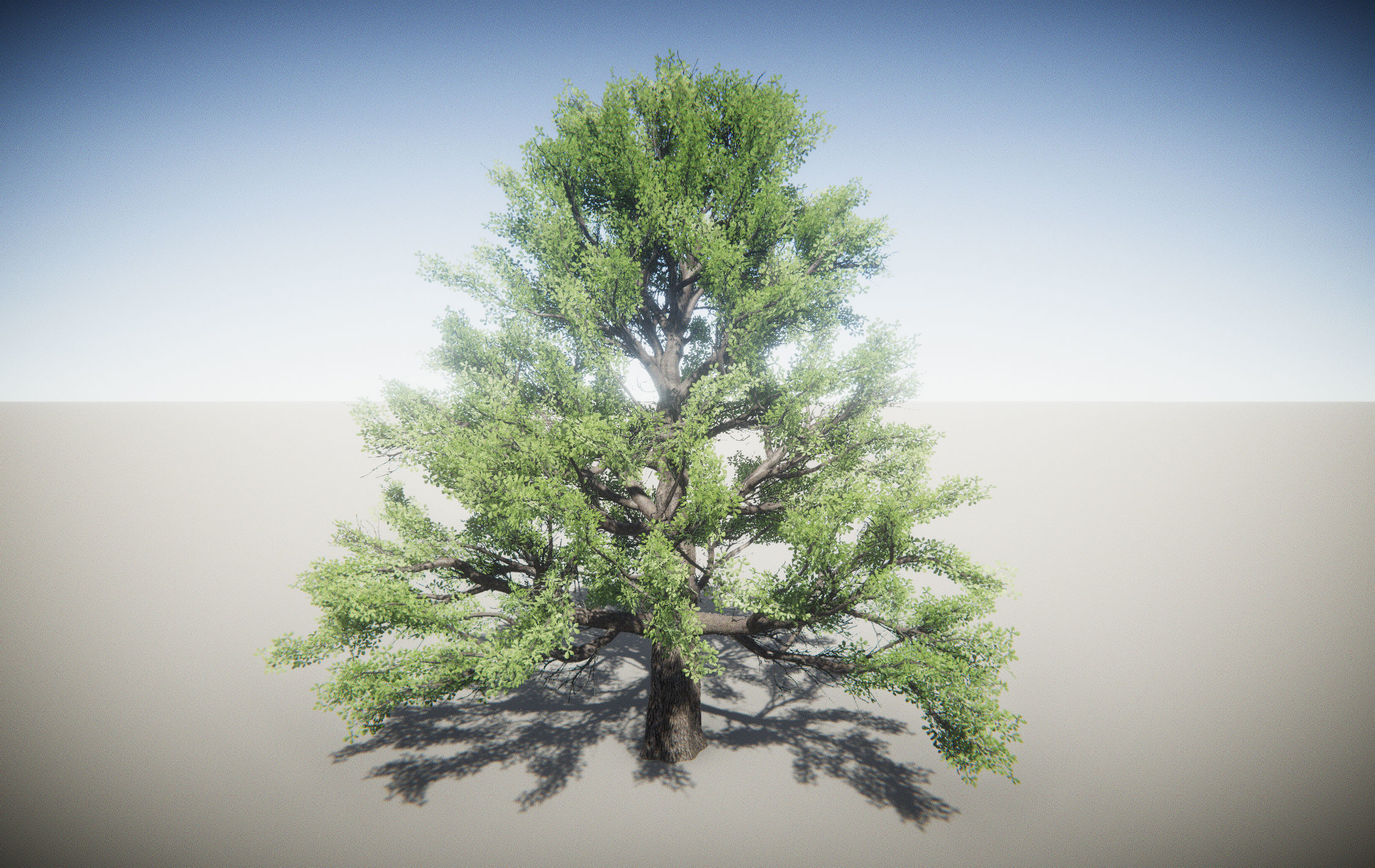 Big Oak Tree Free low-poly 3D model_1