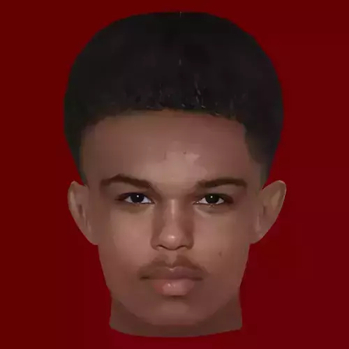 Shola Shoretire Head - Low poly head for game