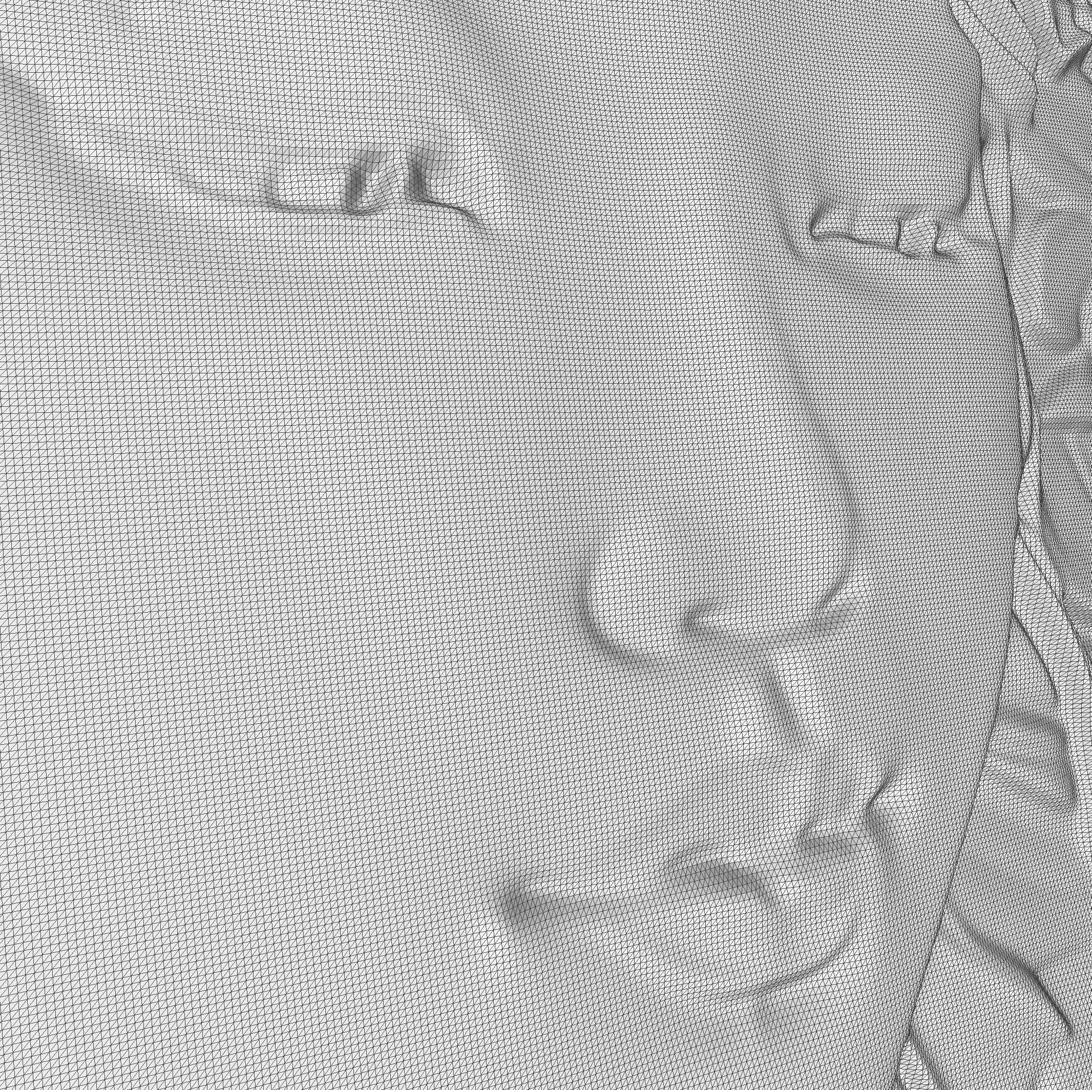 Japanese anime girl with flowers2 CNC 3D model 3D print model_2