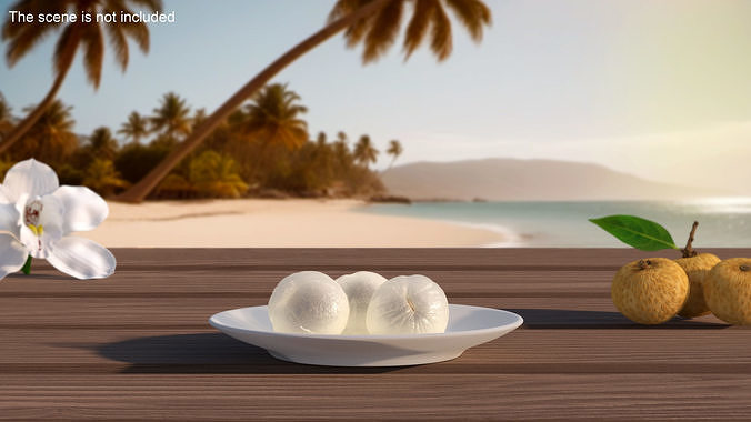 Peeled Longan 3D model 2