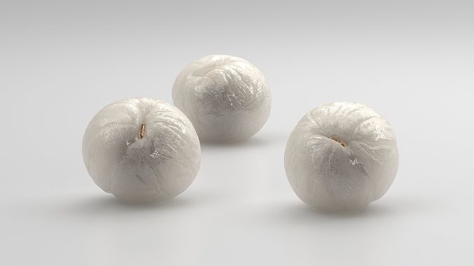 Peeled Longan 3D model 4