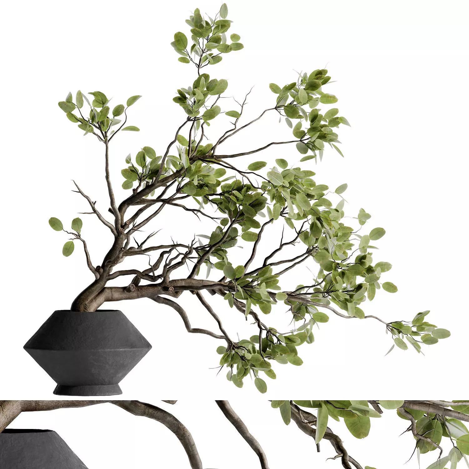 twig bouquet inserted into clay pot 02 Low-poly 3D model