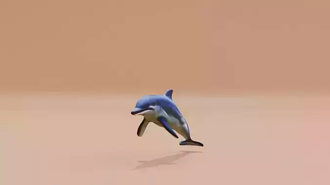 Dolphin white and smooth skin Fish