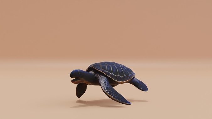 Turtle Sea with its sturdy shell Swimming Low-poly 3D model