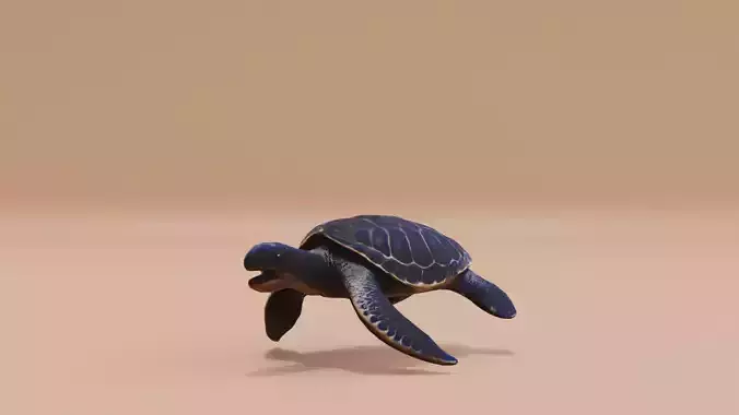 Turtle Sea with its sturdy shell Swimming