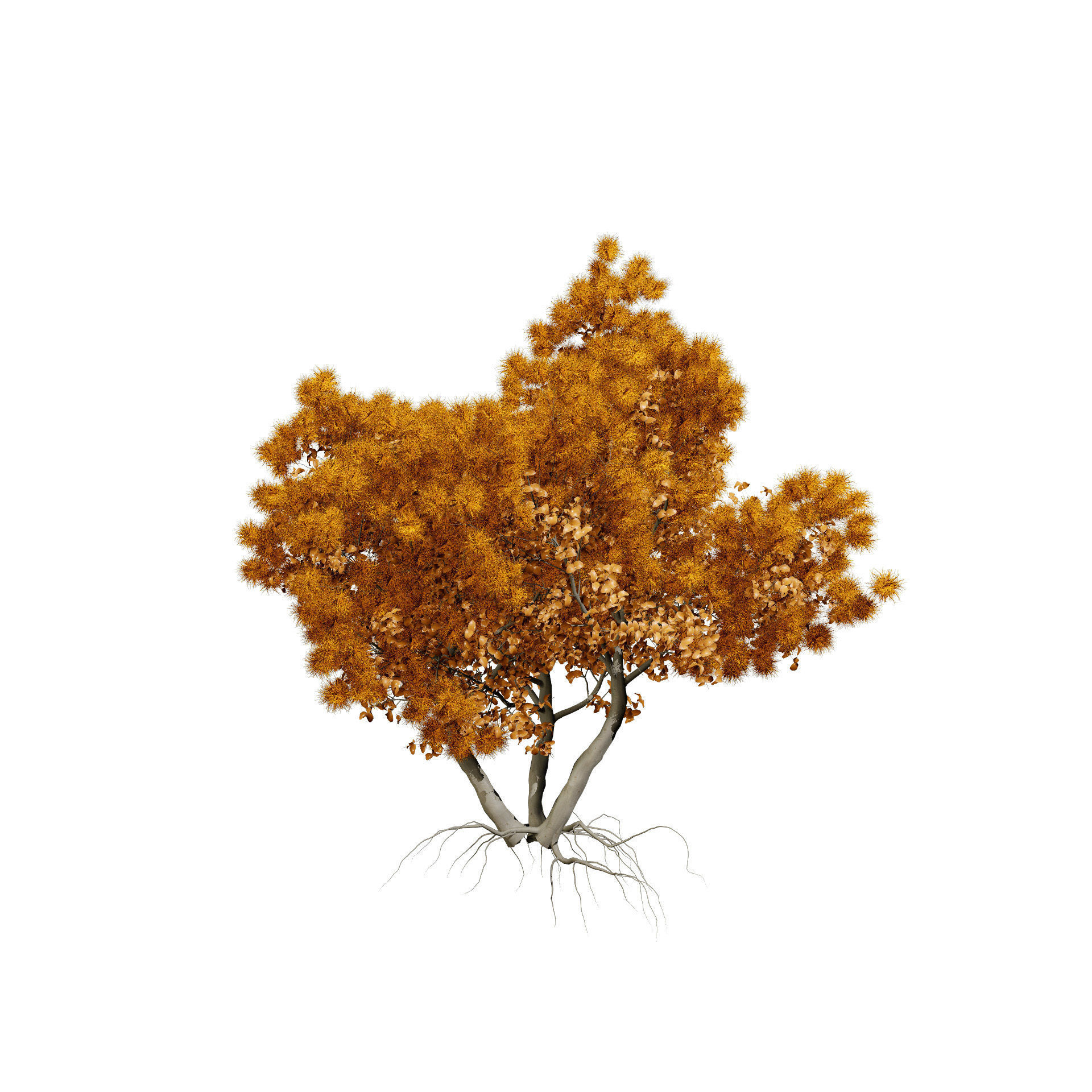 Smoke Trees 3d Pack 3D model_6