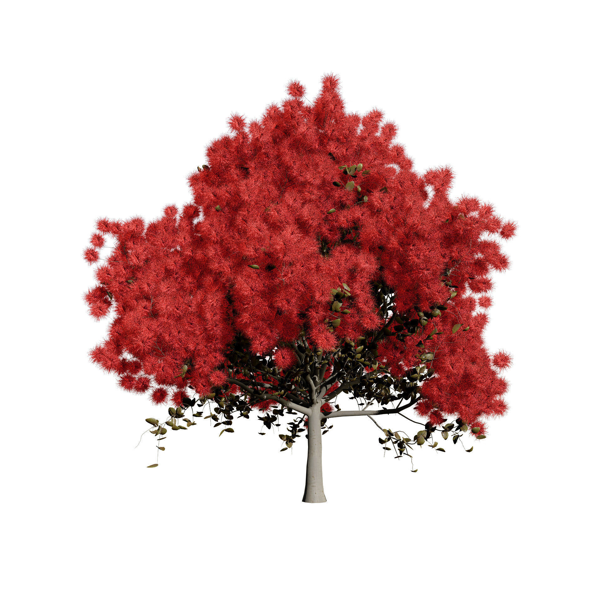 Smoke Trees 3d Pack 3D model_10