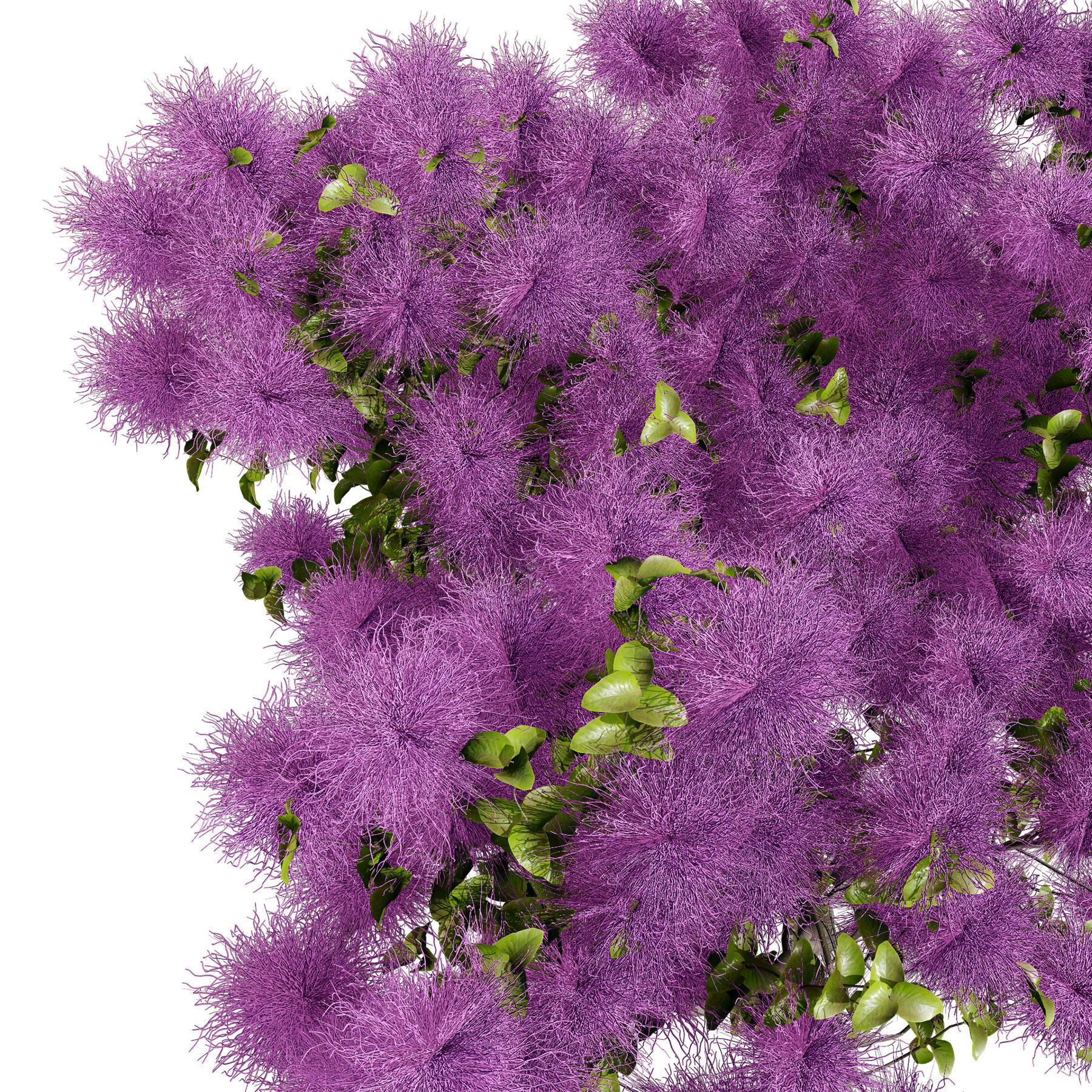 Smoke Trees 3d Pack 3D model_9