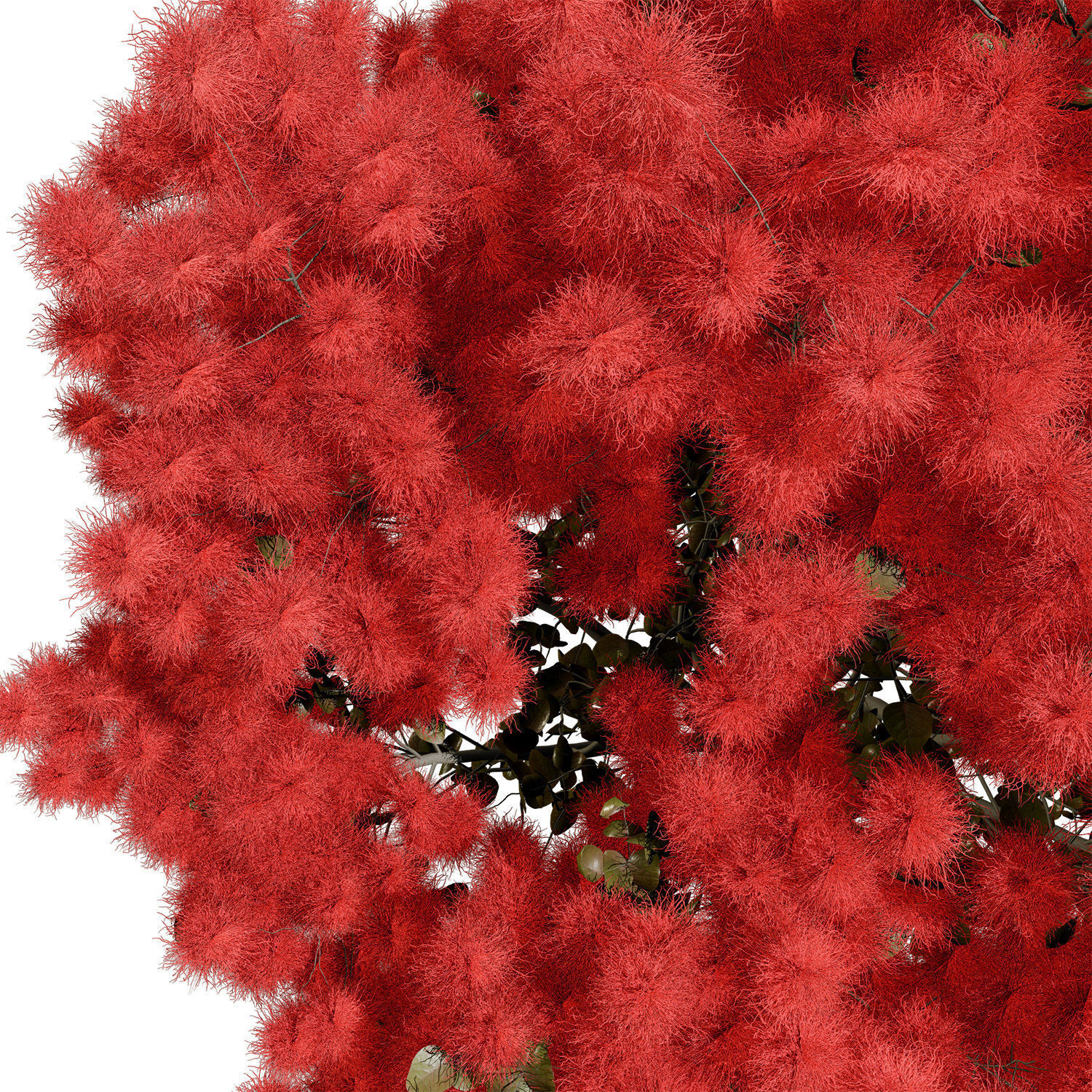 Smoke Trees 3d Pack 3D model_11
