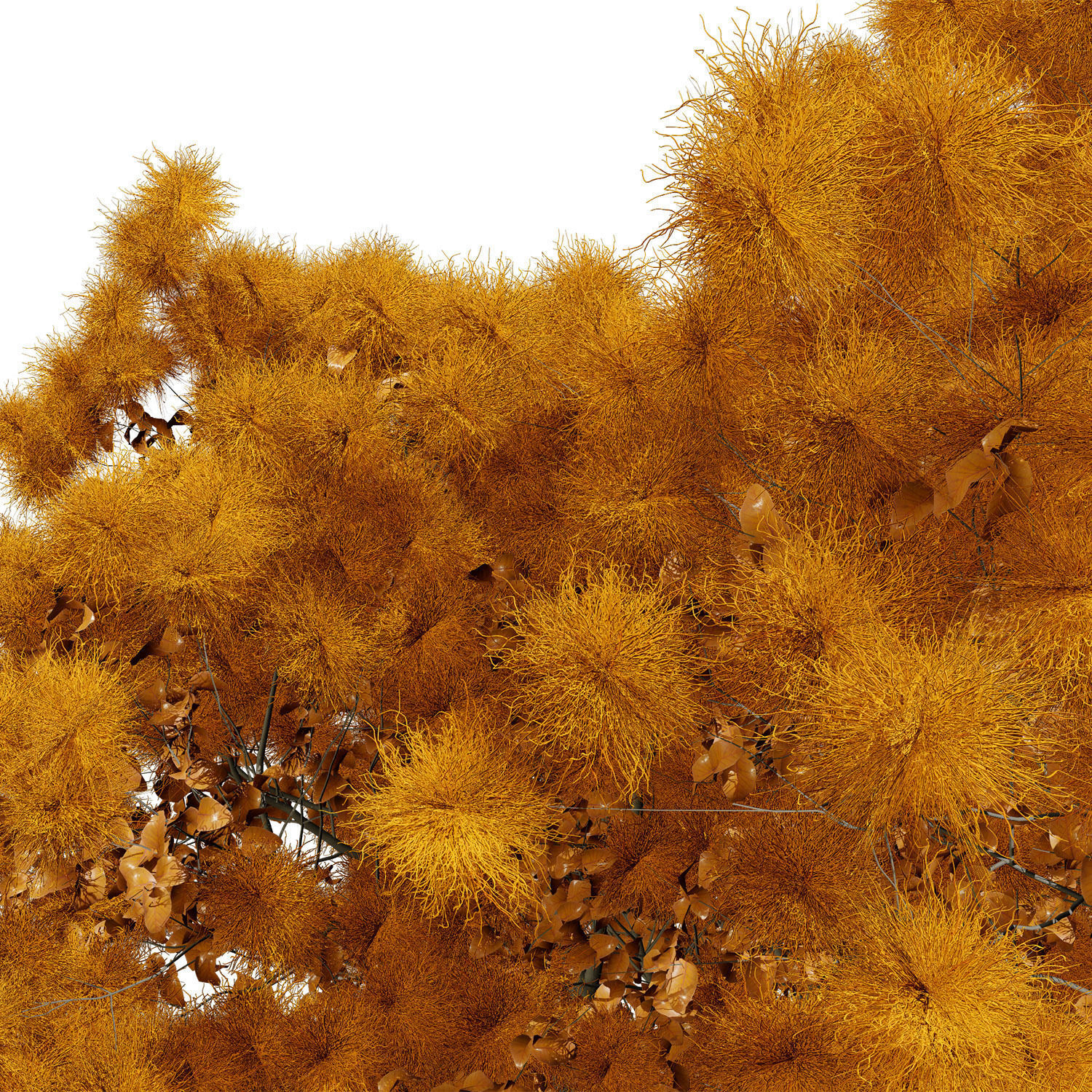 Smoke Trees 3d Pack 3D model_7