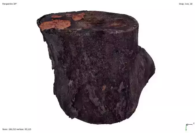 Six old rotten wooden stumps