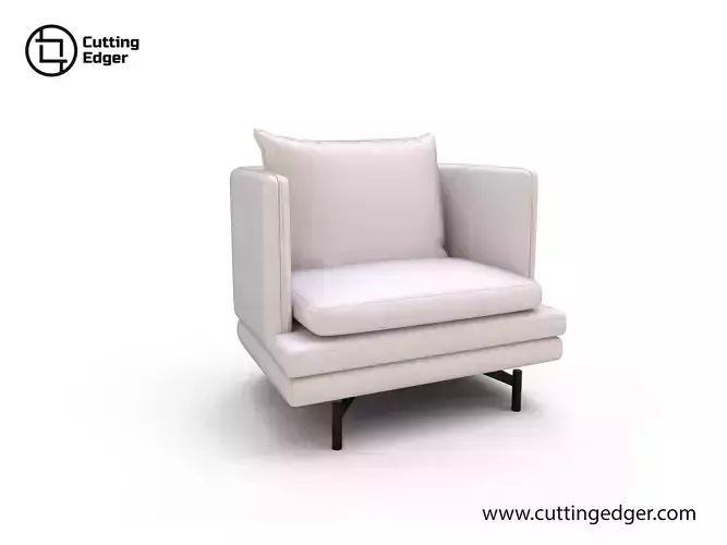 Modern Stylish Arm Chair