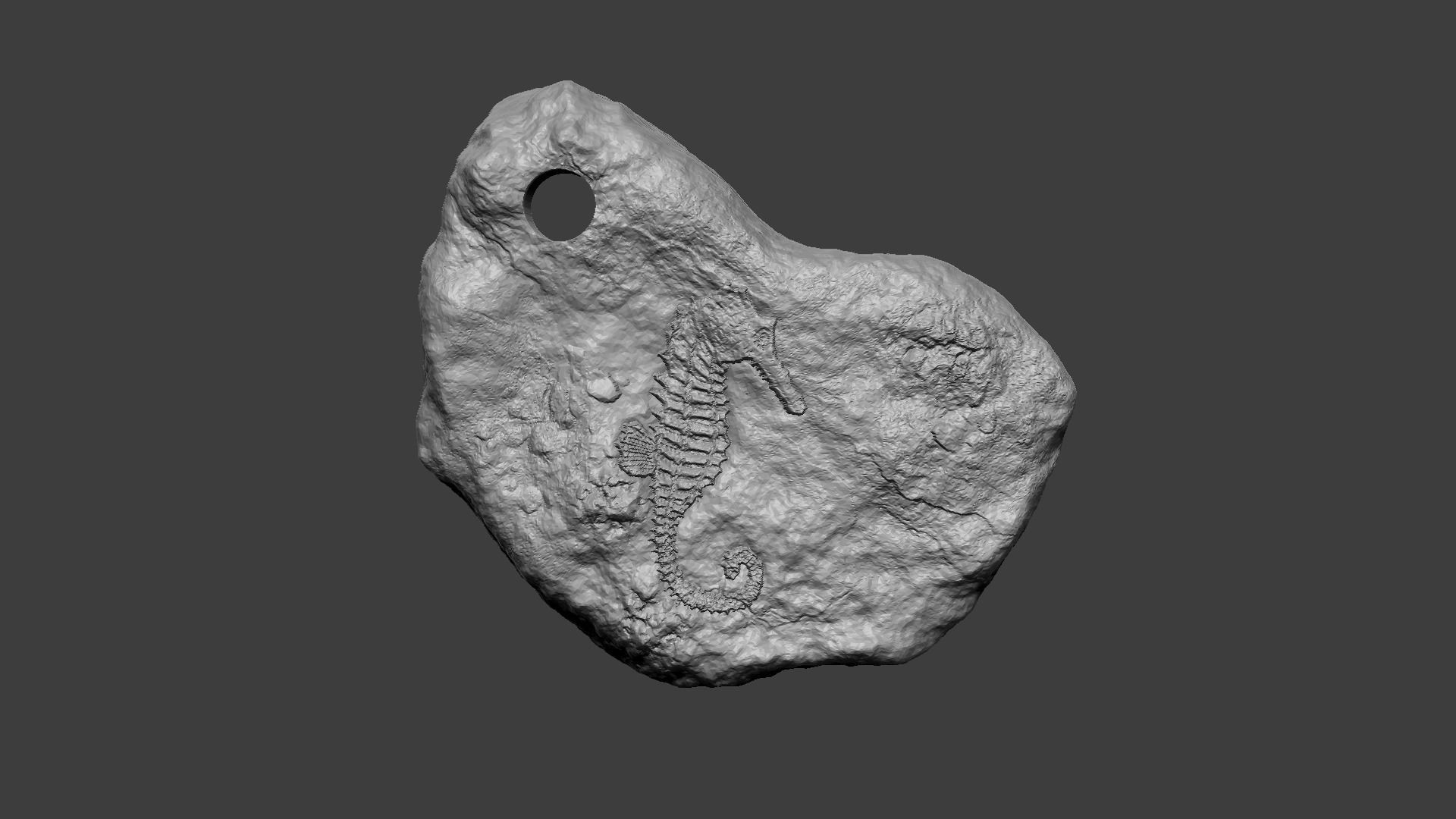 Seahorse Mineral Fossile - Realistic Printable Resin 3D print model_6