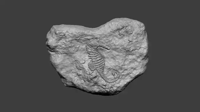 Seahorse Mineral Fossile - Realistic Printable Resin 3D print model