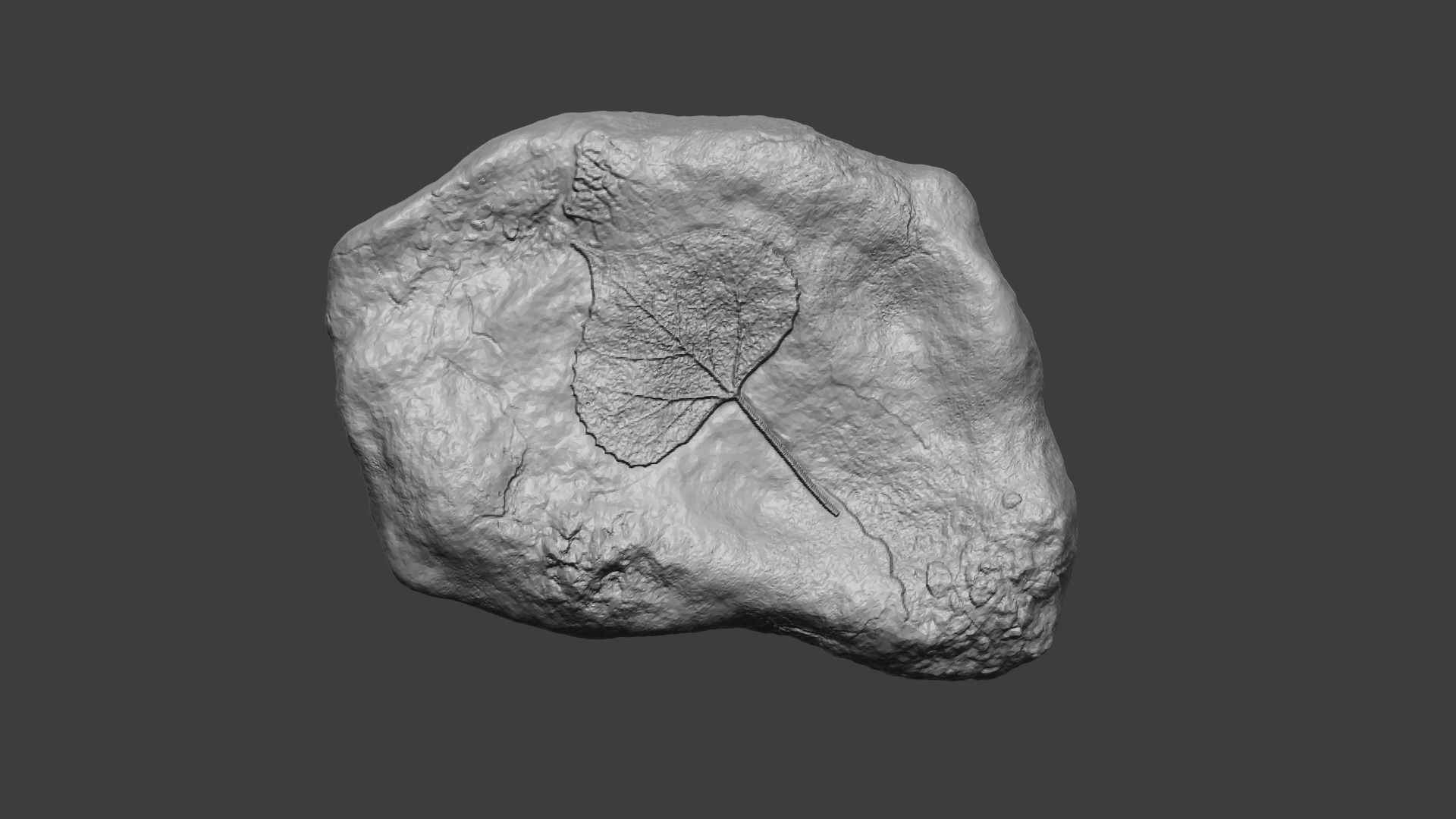 Leaf Mineral Fossile - Realistic Printable Resin 3D print model_0