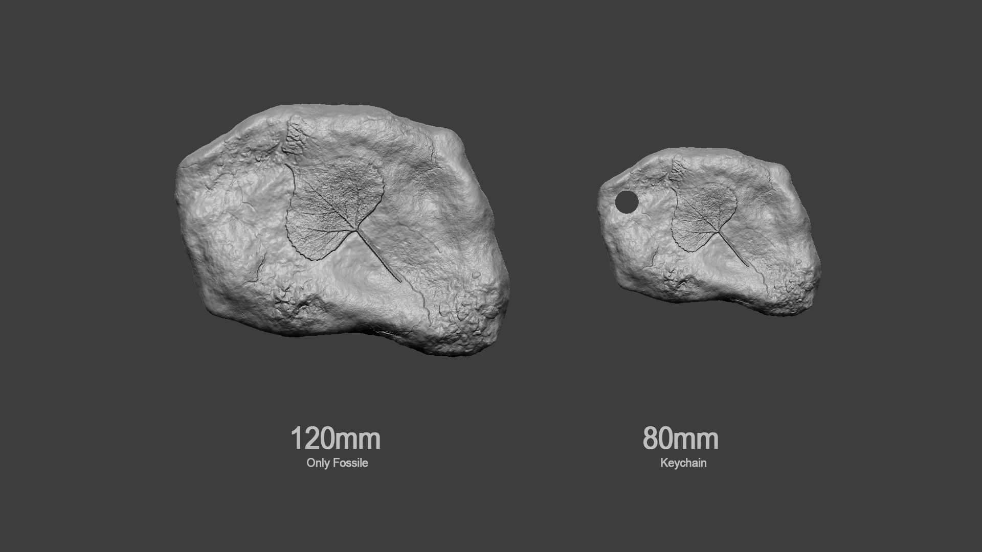 Leaf Mineral Fossile - Realistic Printable Resin 3D print model_10