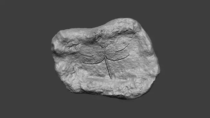 Dragonfly Mineral Fossile - Realistic Printable Resin 3D print model