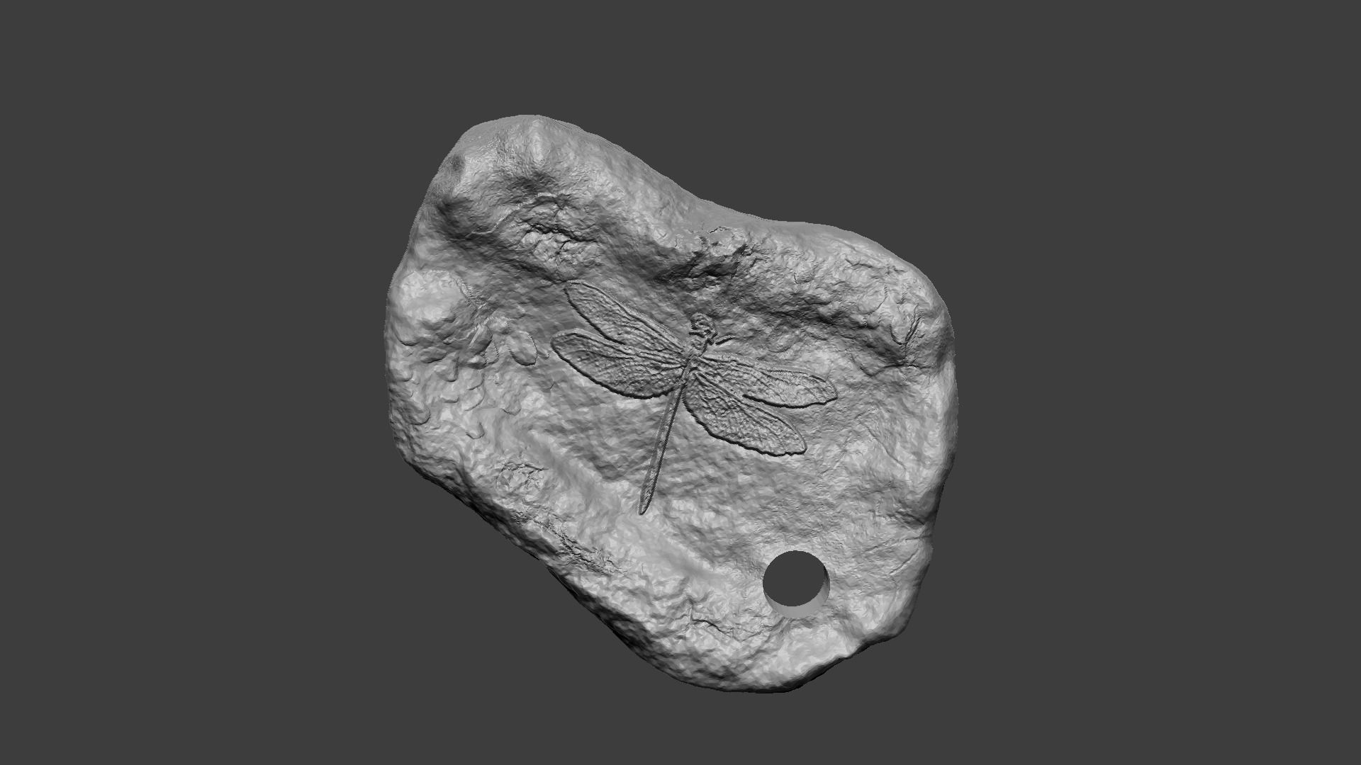 Dragonfly Mineral Fossile - Realistic Printable Resin 3D print model_6