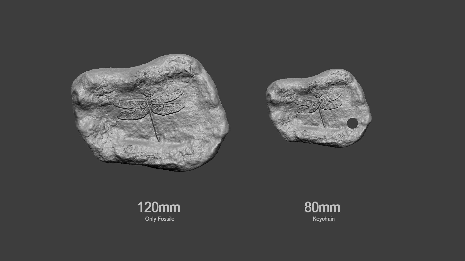 Dragonfly Mineral Fossile - Realistic Printable Resin 3D print model_10