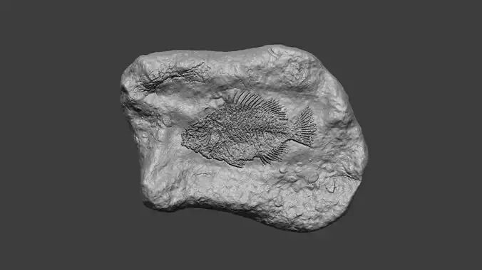 Fish Mineral Fossile - Realistic Printable Resin 3D print model