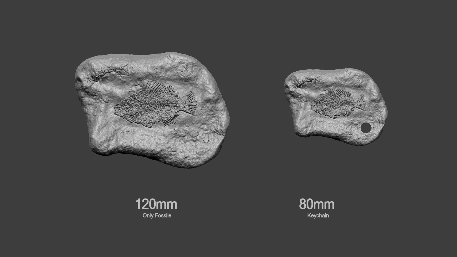 Fish Mineral Fossile - Realistic Printable Resin 3D print model_10