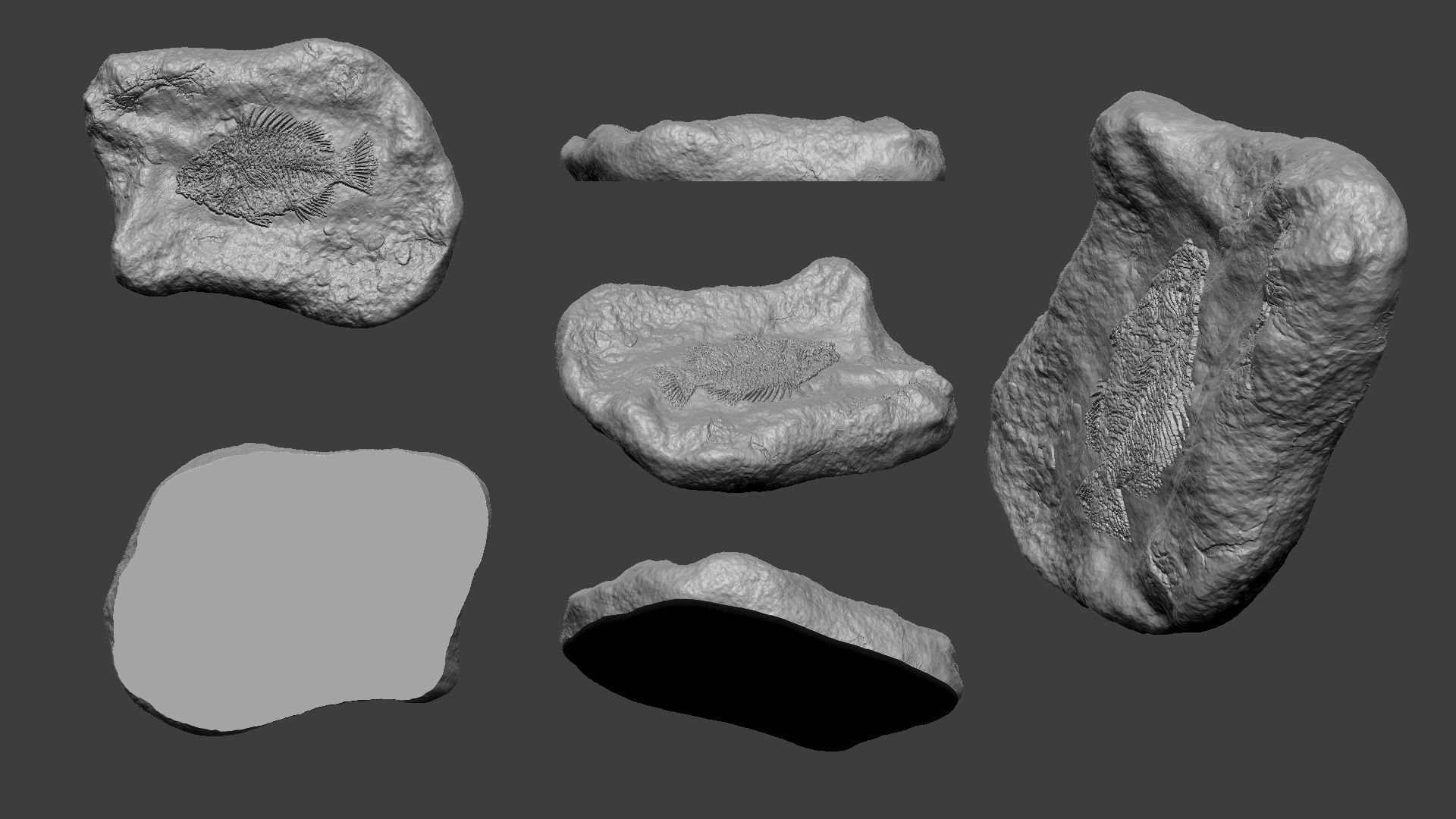 Fish Mineral Fossile - Realistic Printable Resin 3D print model_4