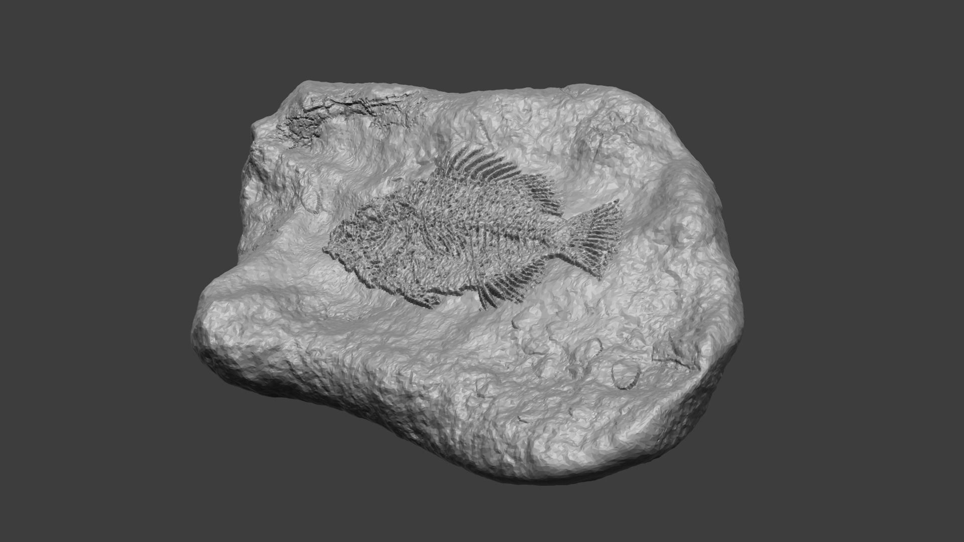 Fish Mineral Fossile - Realistic Printable Resin 3D print model_1