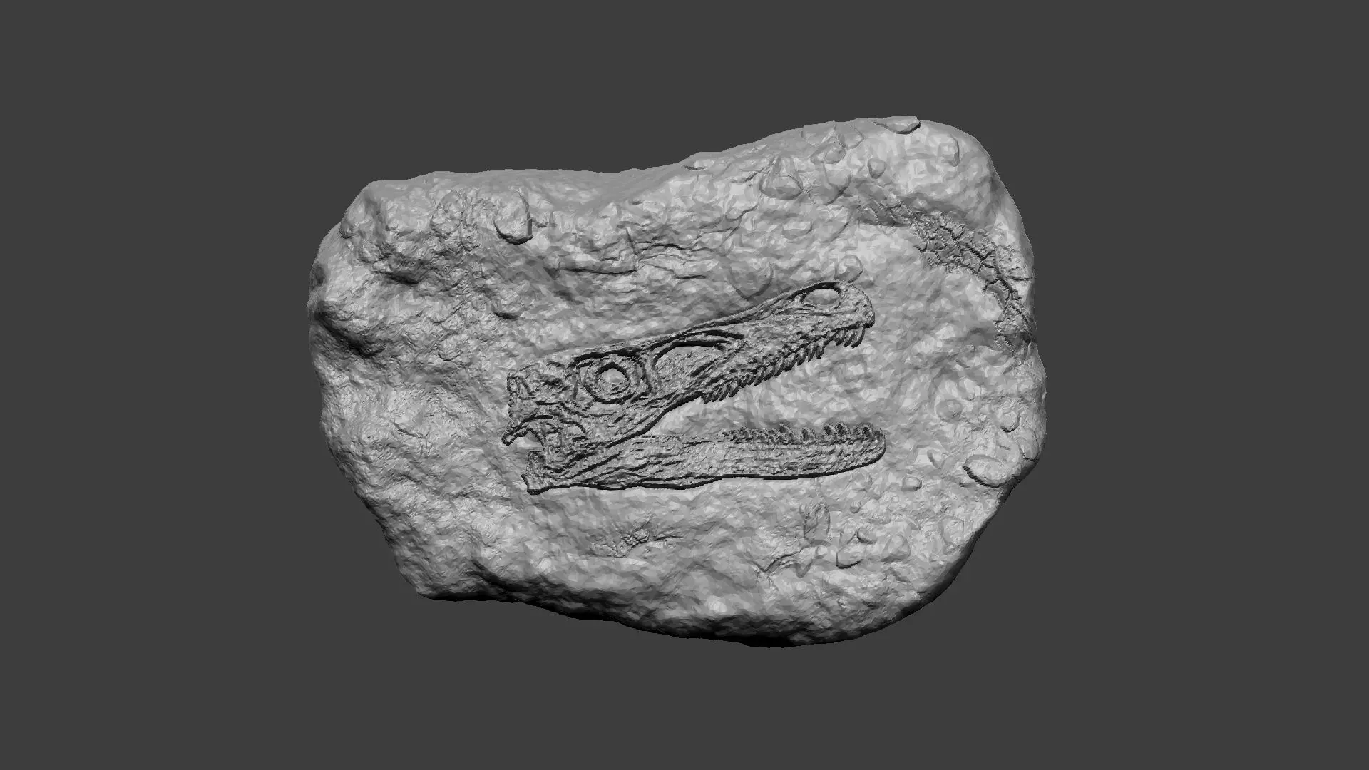 Velociraptor Face Mineral Fossile - Realistic Printable Resin 3D print model_0