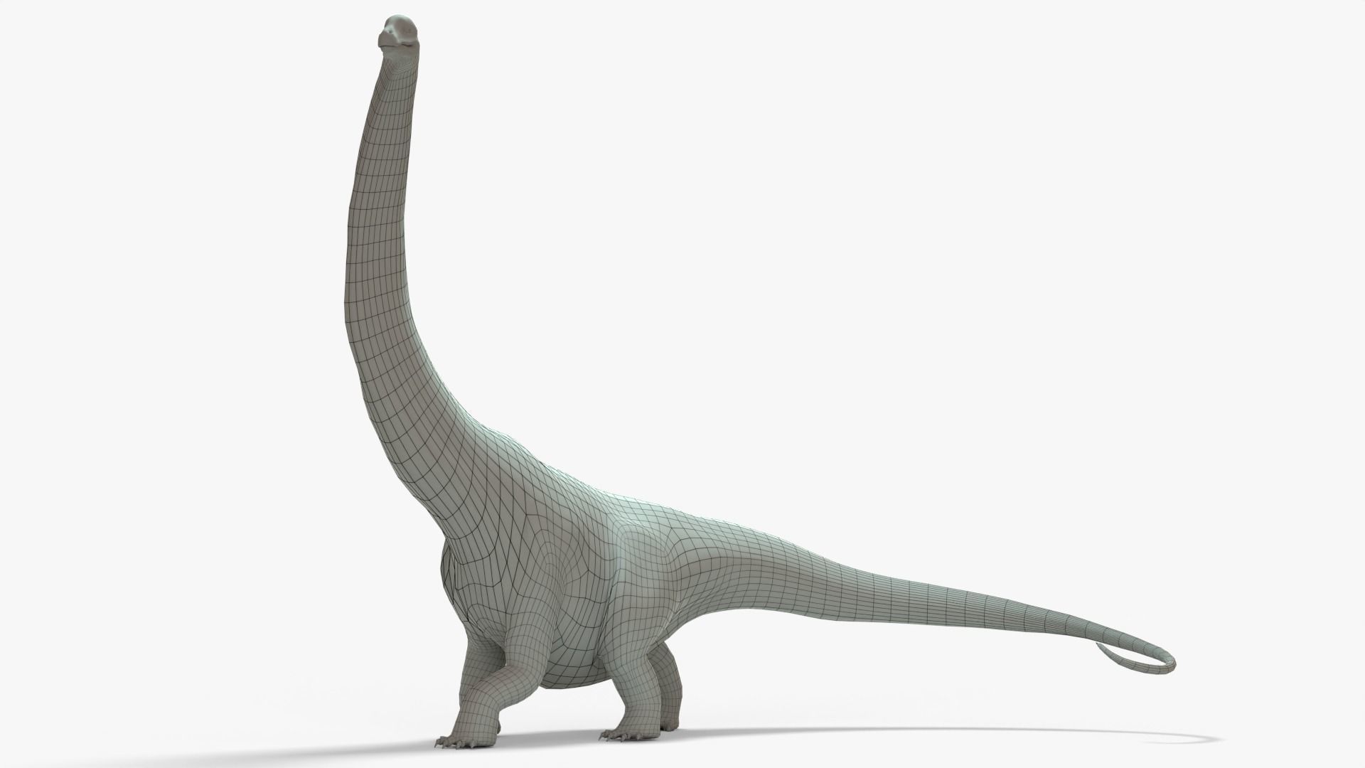 Argentinosaurus Rigged Basemesh Low-poly 3D model_1