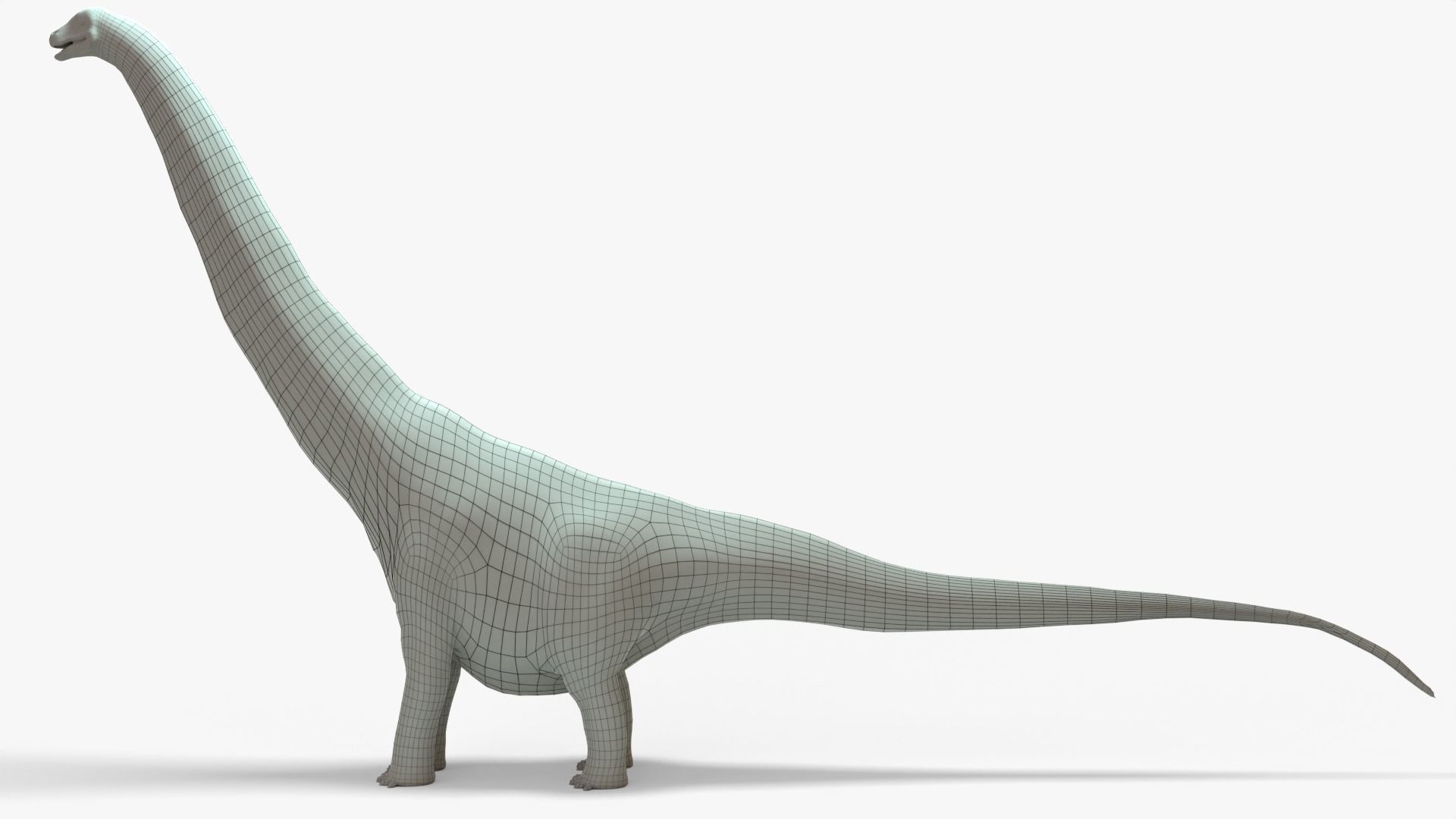 Argentinosaurus Rigged Basemesh Low-poly 3D model_9